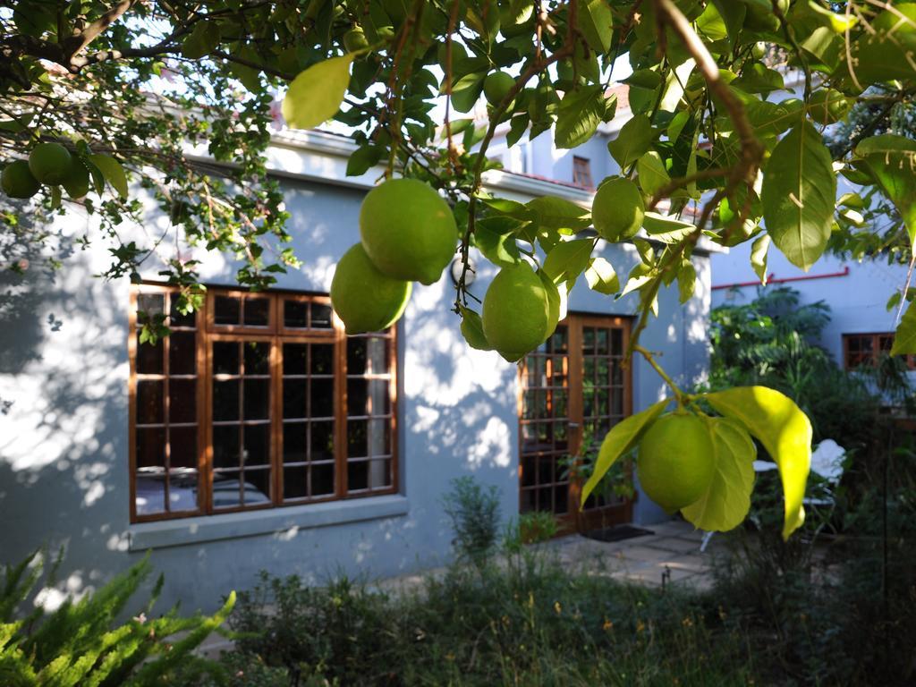 House Of House Guest House Stellenbosch Exterior photo