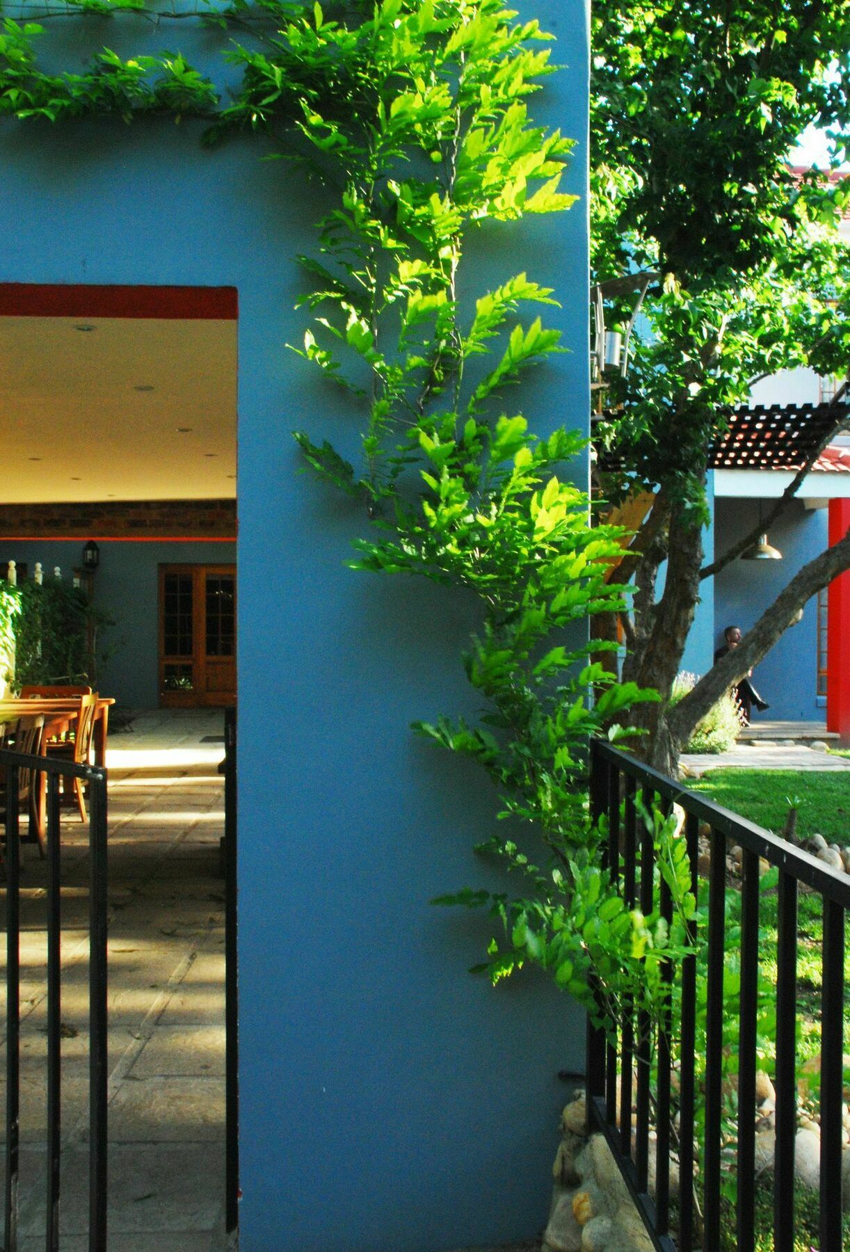 House Of House Guest House Stellenbosch Exterior photo